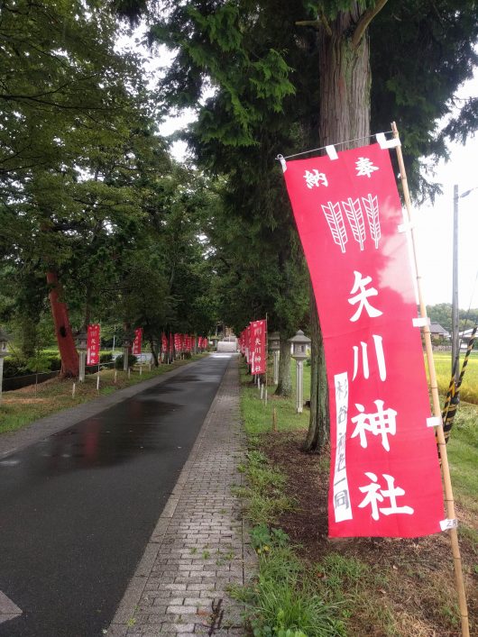 矢川神社参道後半