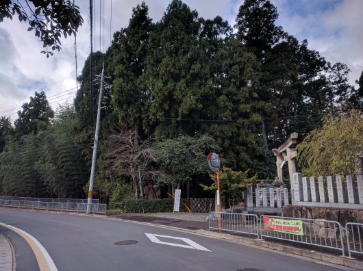 大歳神社森